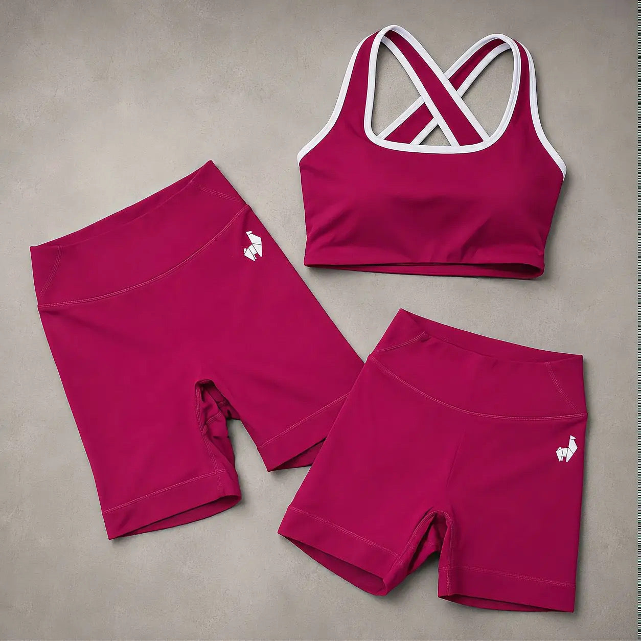 AL Plum Sports Bra
